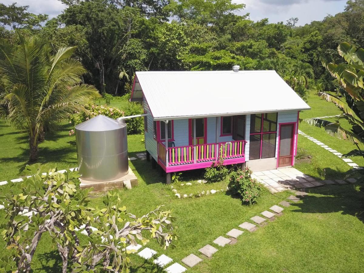 Lower Dover Jungle Lodge & Maya Ruins Unitedville Esterno foto
