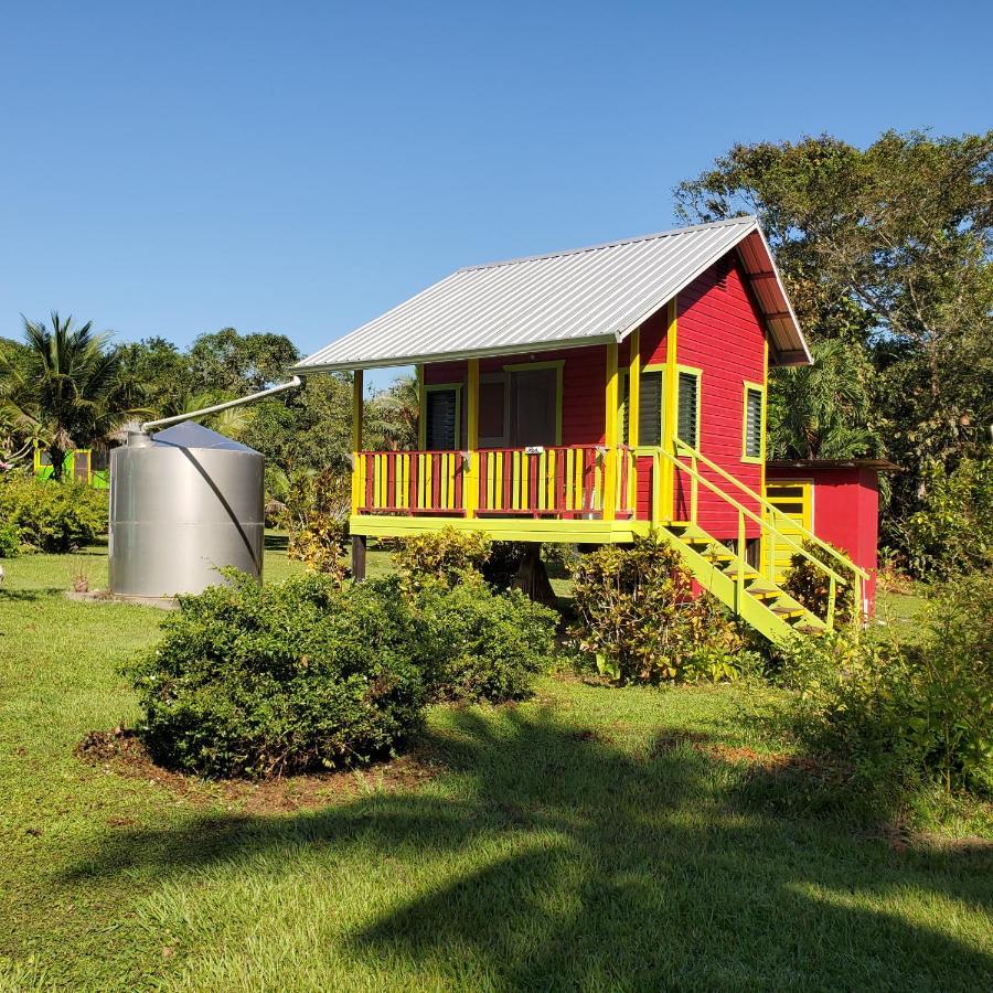 Lower Dover Jungle Lodge & Maya Ruins Unitedville Esterno foto