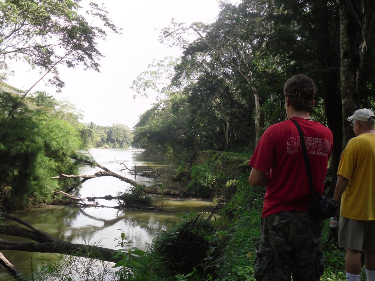 Lower Dover Jungle Lodge & Maya Ruins Unitedville Esterno foto