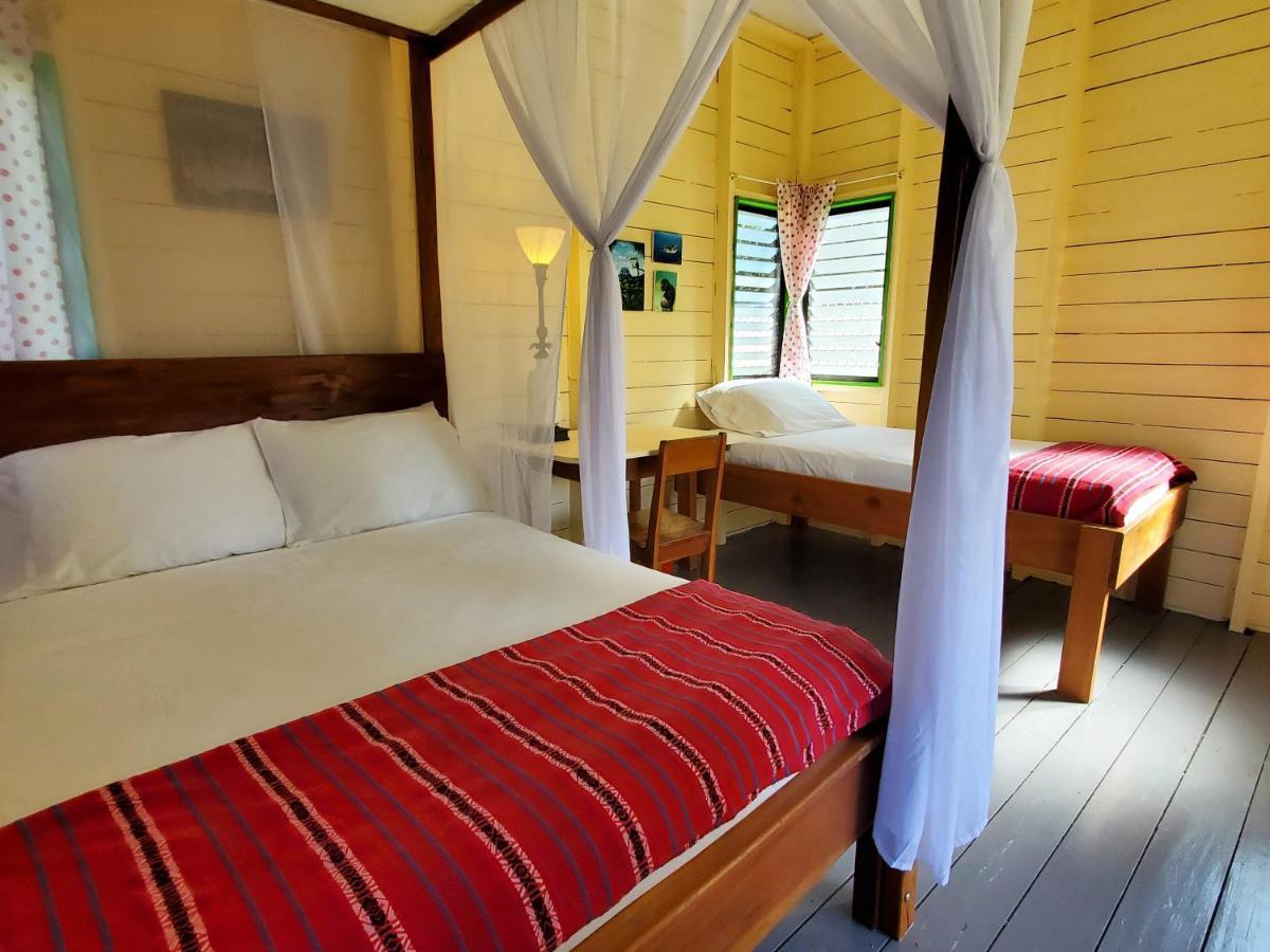 Lower Dover Jungle Lodge & Maya Ruins Unitedville Esterno foto