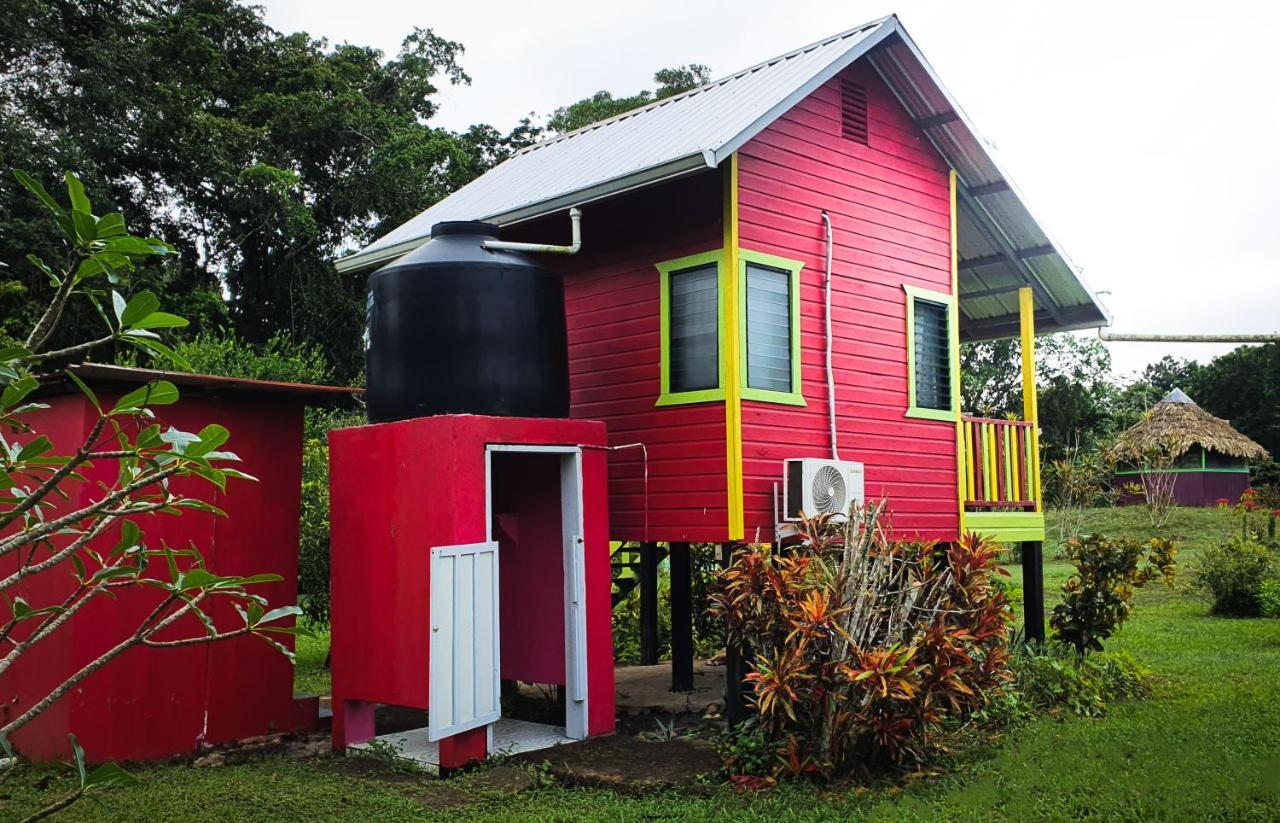 Lower Dover Jungle Lodge & Maya Ruins Unitedville Esterno foto