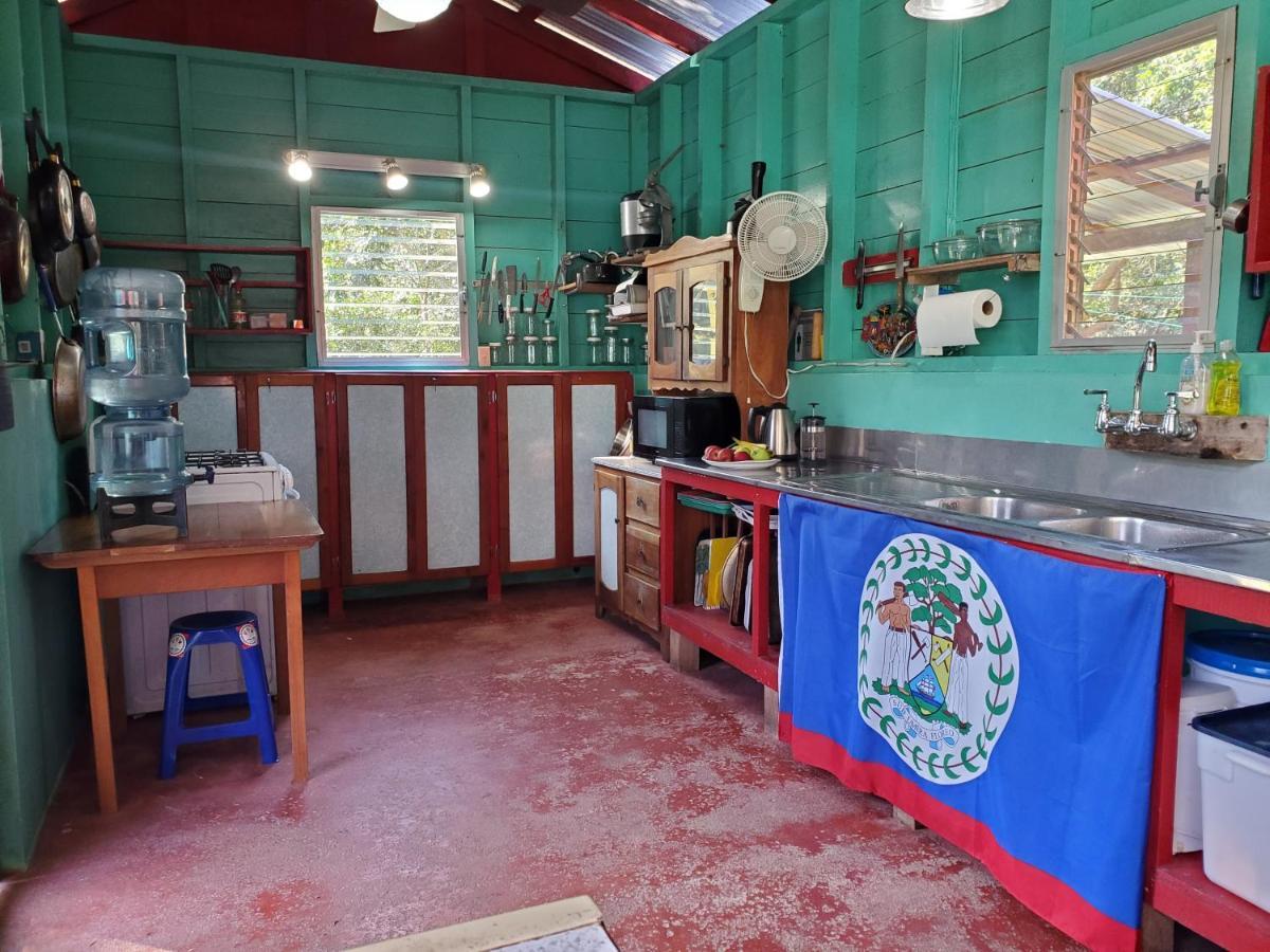 Lower Dover Jungle Lodge & Maya Ruins Unitedville Esterno foto