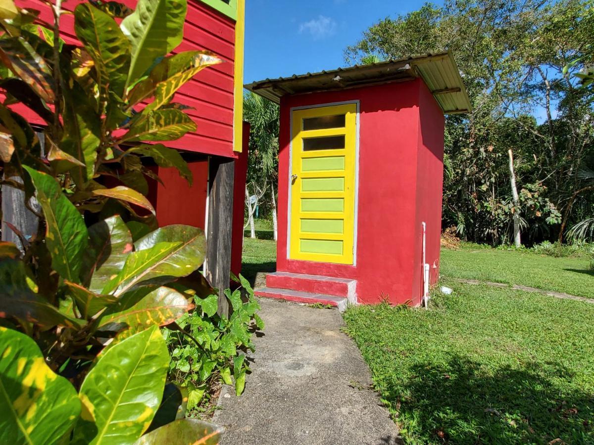 Lower Dover Jungle Lodge & Maya Ruins Unitedville Esterno foto