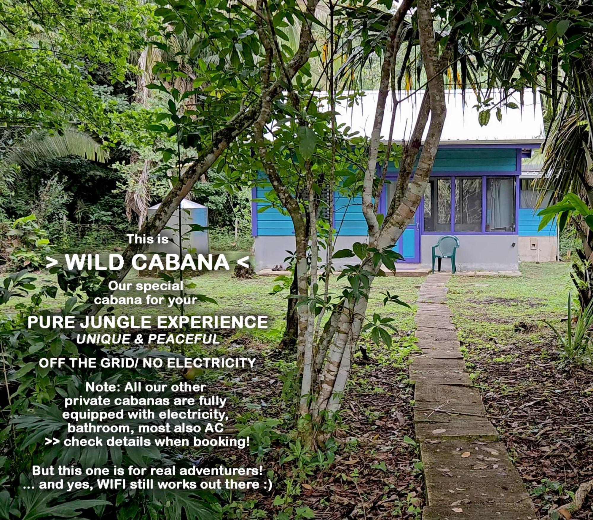 Lower Dover Jungle Lodge & Maya Ruins Unitedville Camera foto