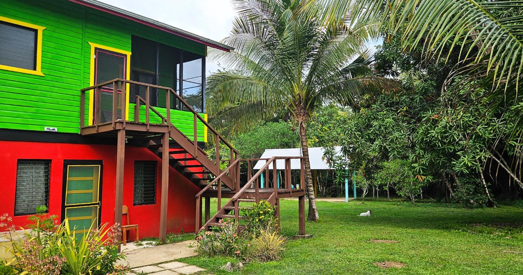 Lower Dover Jungle Lodge & Maya Ruins Unitedville Camera foto