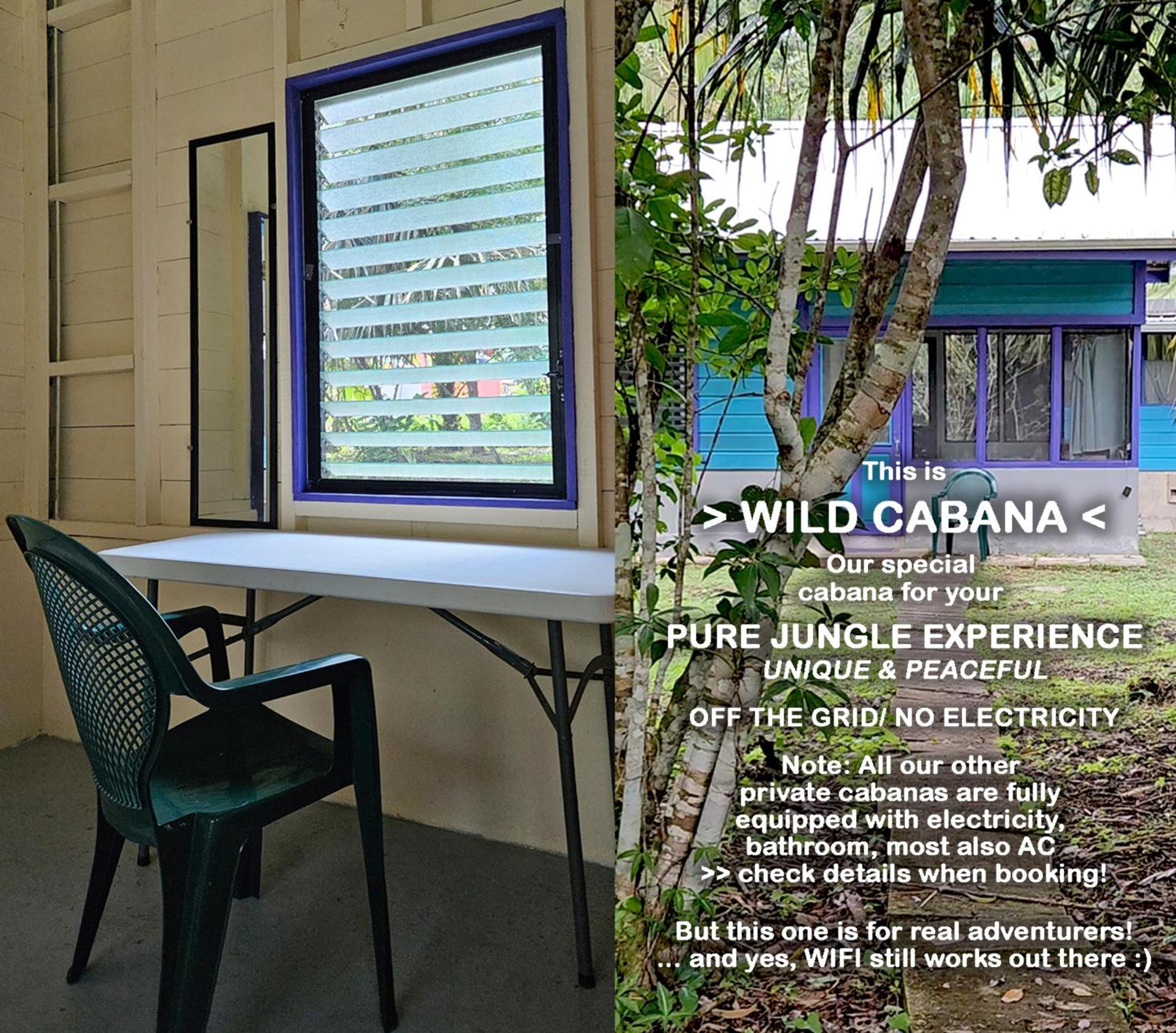 Lower Dover Jungle Lodge & Maya Ruins Unitedville Camera foto