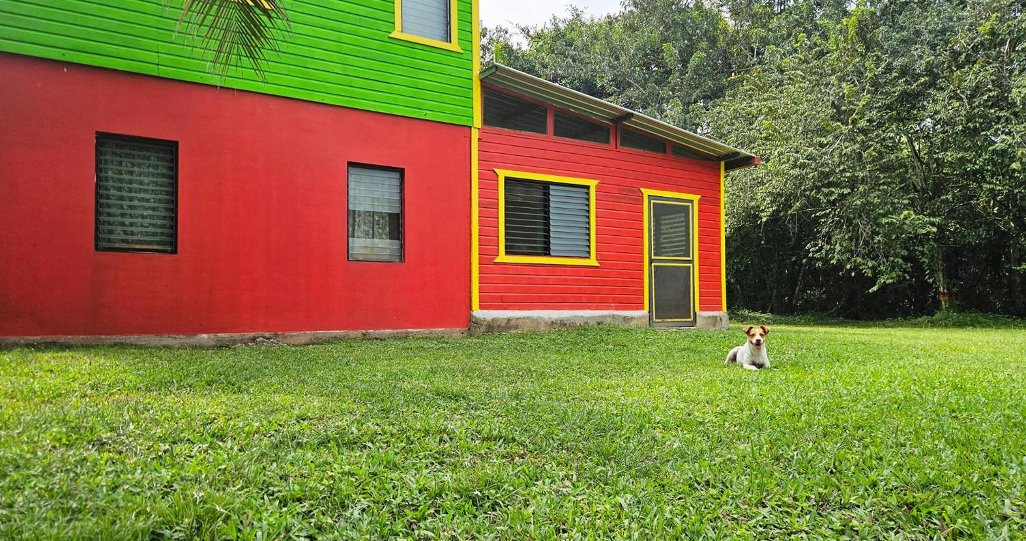 Lower Dover Jungle Lodge & Maya Ruins Unitedville Camera foto