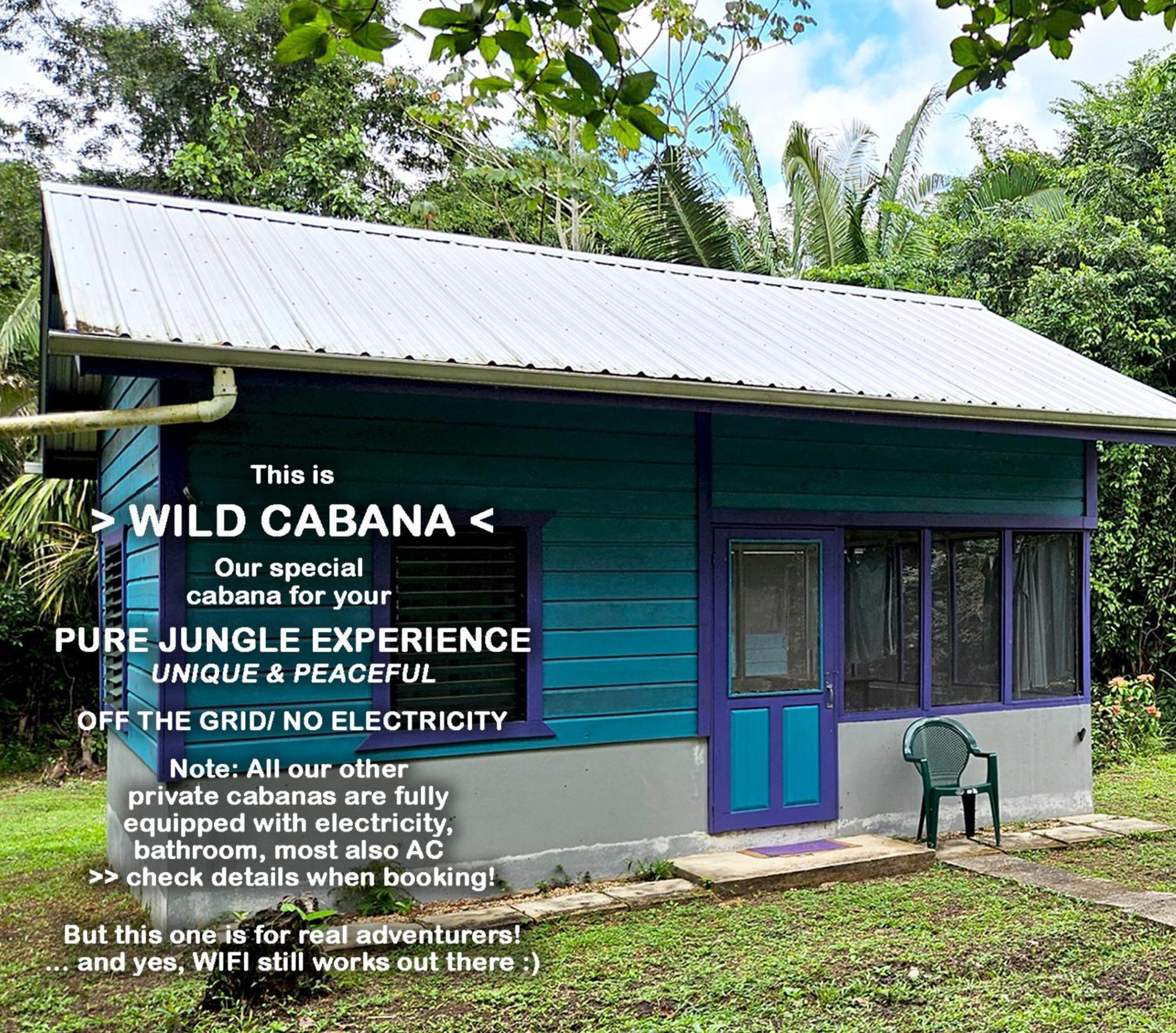 Lower Dover Jungle Lodge & Maya Ruins Unitedville Camera foto