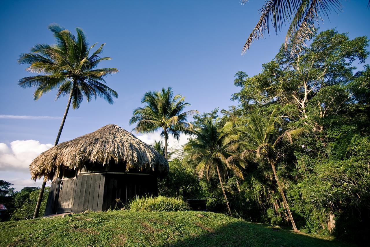 Lower Dover Jungle Lodge & Maya Ruins Unitedville Esterno foto