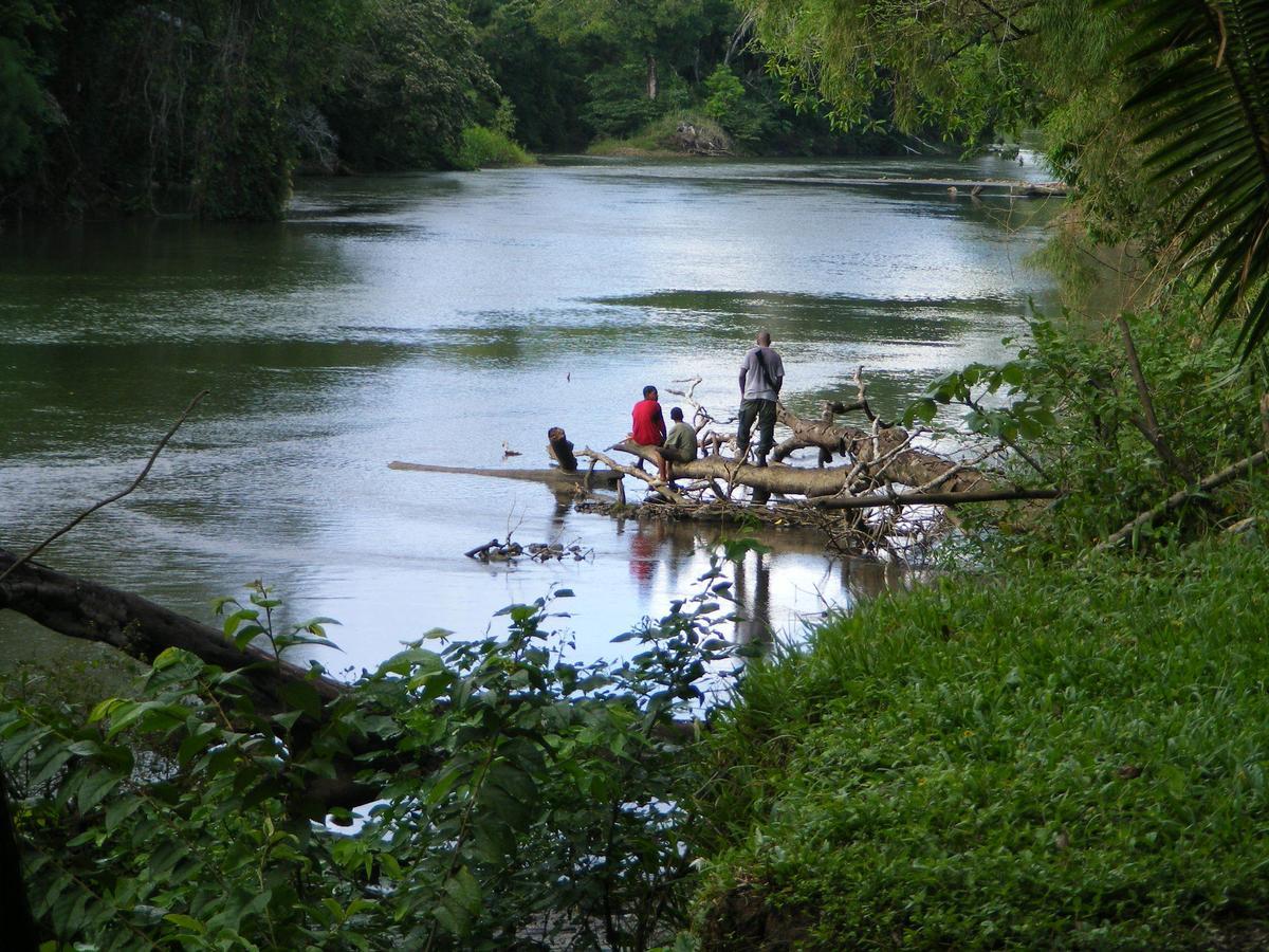 Lower Dover Jungle Lodge & Maya Ruins Unitedville Esterno foto