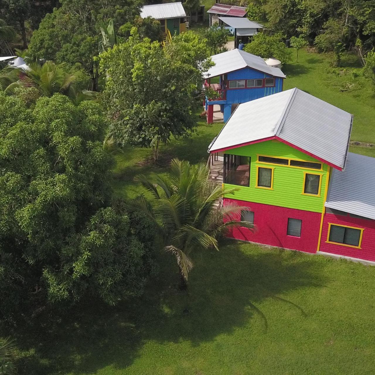 Lower Dover Jungle Lodge & Maya Ruins Unitedville Esterno foto